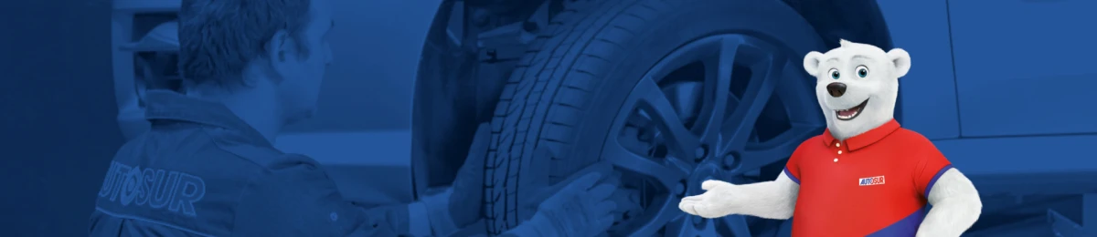 AUTO BILAN CARLONE